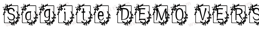 Sagite DEMO VERSION 语言英文字体转换
